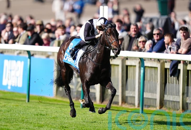 Coto De Caza captures Cornwallis prize for Crisfords