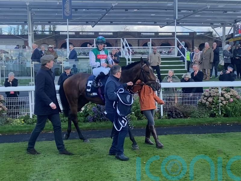 Minstrel Knight provides perfect Finale with York victory