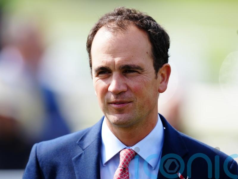 Invictus Gold in the hunt for Rockingham honours