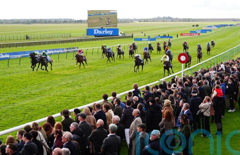 Cesarewitch controversy leaves Crisfords &lsquo;subdued&rsquo;