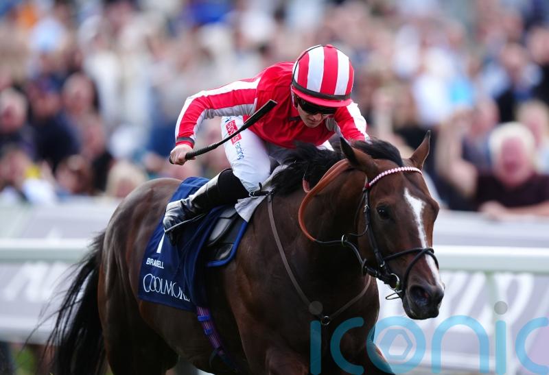 Bradsell to sign off after Breeders&rsquo; Cup bid