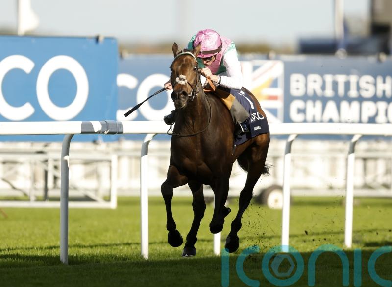 Kalpana stamps her class on Ascot field
