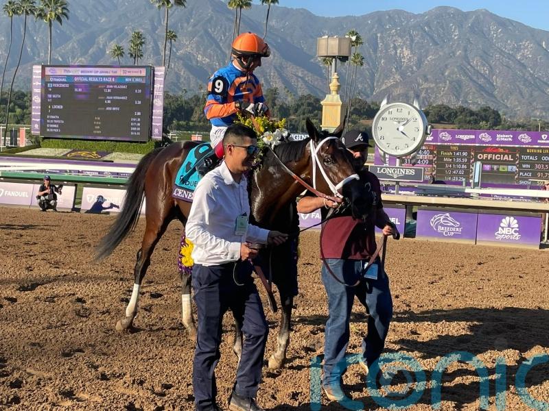 Fierceness team ready for huge City Of Troy showdown