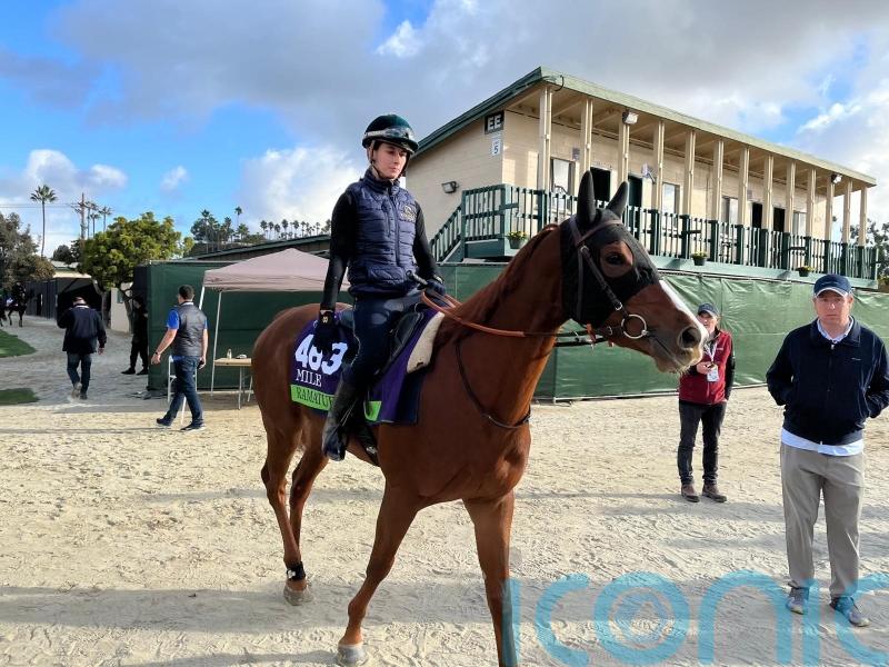 Head has every reason to think Ramatuelle can add to family history