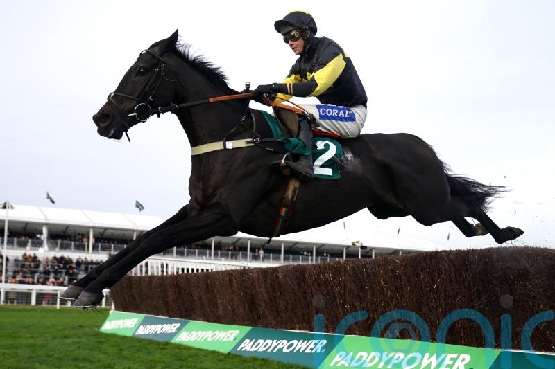 Jpr One leads Haldon Gold Cup challenge for Tizzard