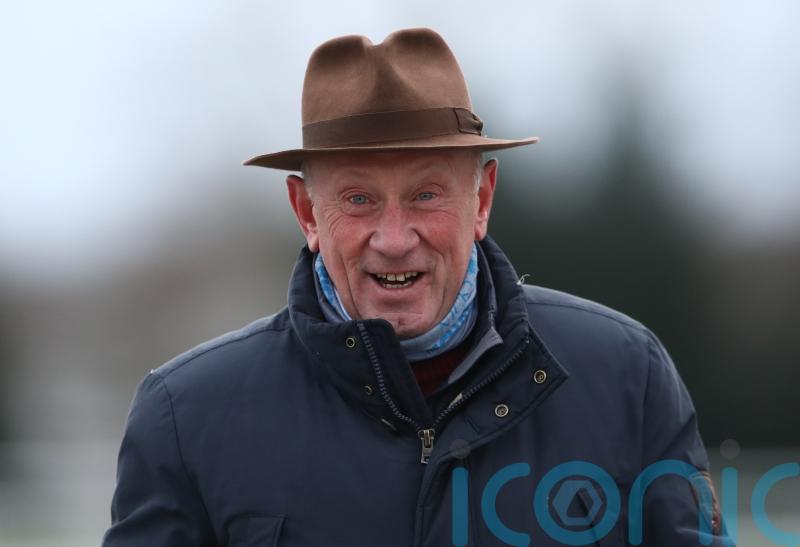 Nells Son capitalises on Kalif Du Berlais mishap at Carlisle