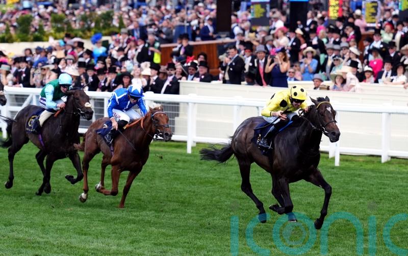 Lake Forest&rsquo;s Australian exploits have Haggas dreaming for next year