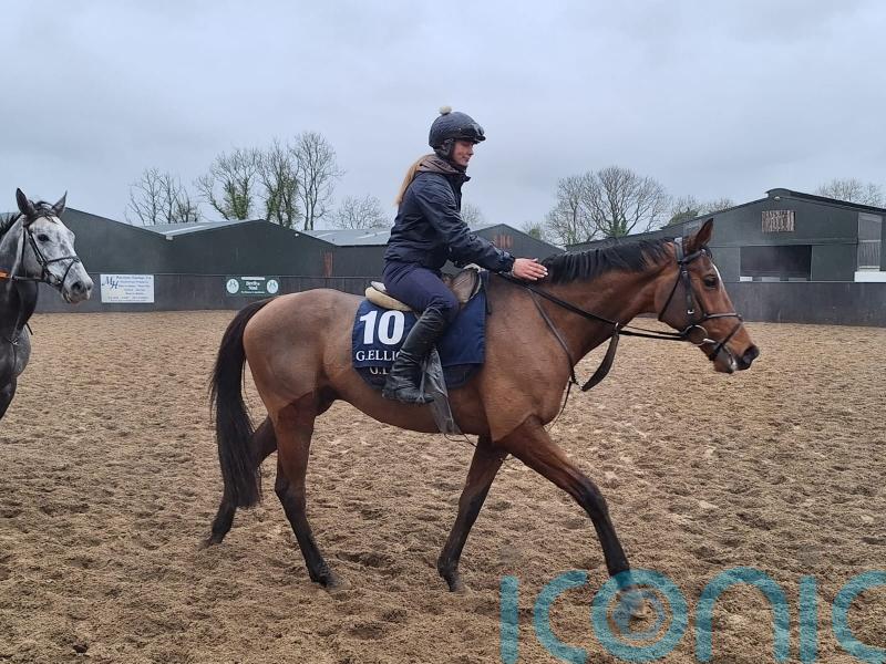 Staying star Teahupoo preparing for Hatton&rsquo;s Grace defence