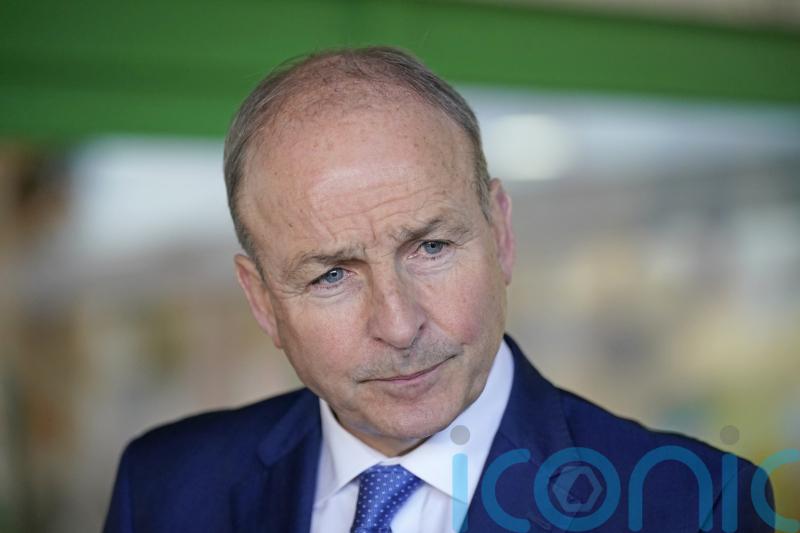 Tanaiste &lsquo;surprised&rsquo; over Fine Gael supporting McGahon candidacy