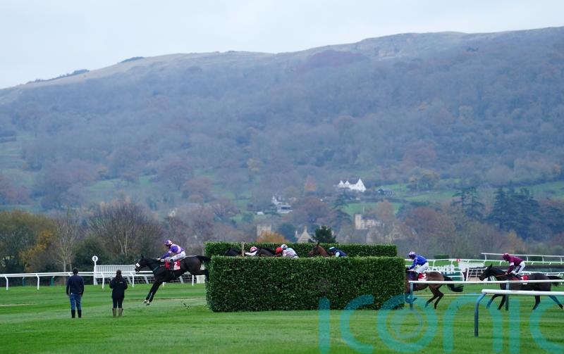 Tommie Beau could seek alternative targets to Cheltenham after cross-country drama