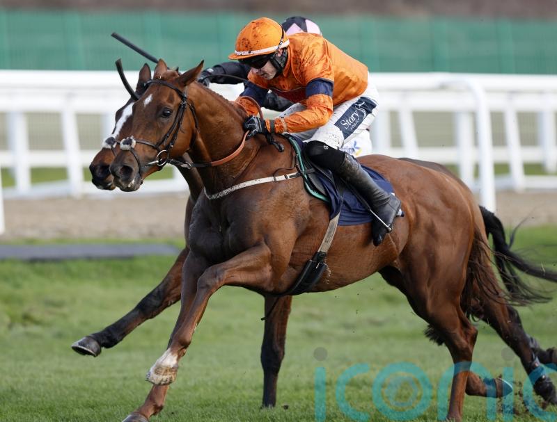 Lavender Hill Mob beaten on eagerly-awaited hurdling debut