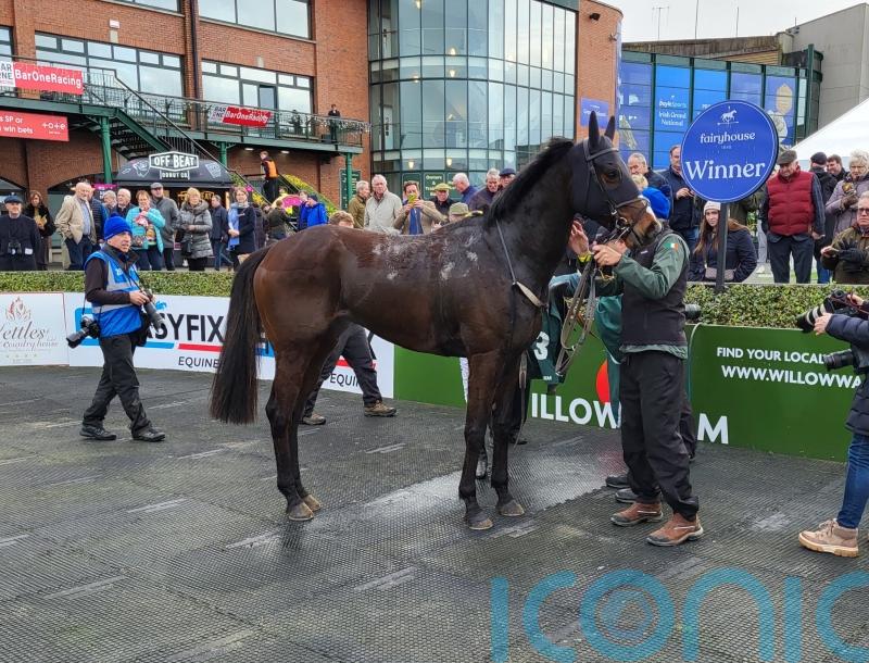 Anzadam look another smart one for Willie Mullins in State Man colours