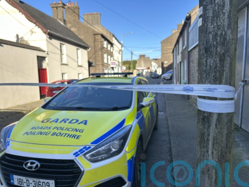 Eight-year-old girl dies of injuries after assault in Co Wexford