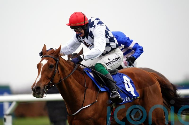 Banbridge King George bound after encouraging Cork effort