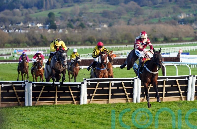 Bowen brothers share the spoils in Triumph thriller