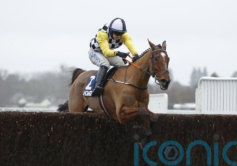 Jungle Boogie gets the Christmas party jumping at Ascot