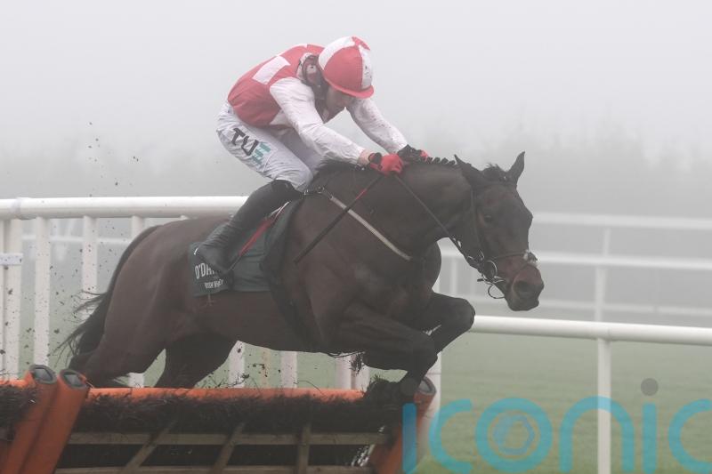 Hello Neighbour to defend unbeaten record at Dublin Racing Festival