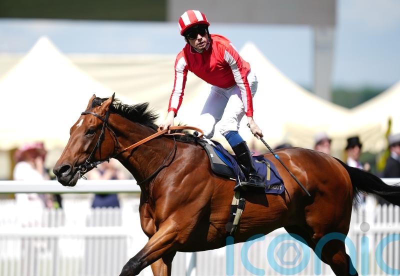 Isle Of Jura making strides in injury recovery