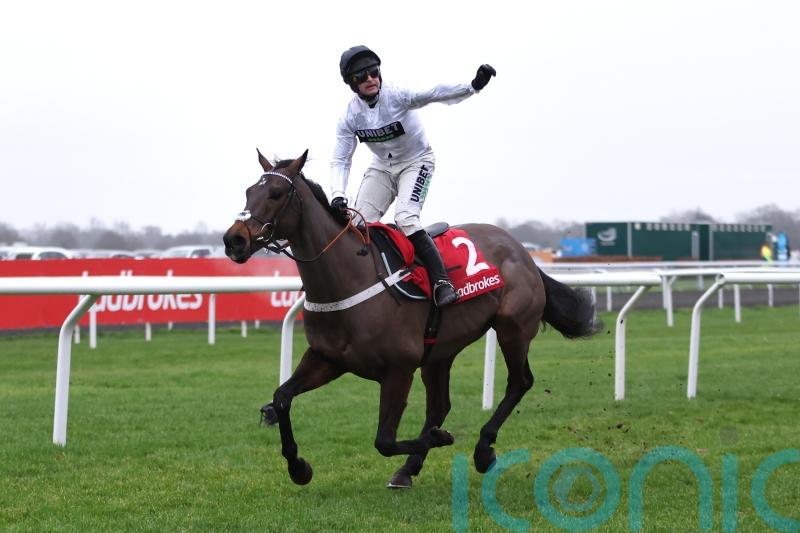 Constitution Hill could face Champion Hurdle challenge from Japan