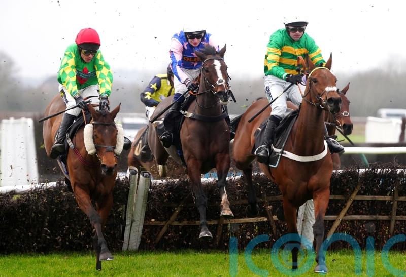 That&rsquo;s Nice wins cosily at Warwick, but Festival foray unlikely