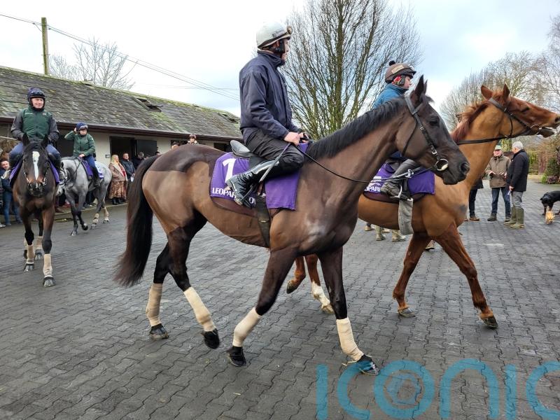 Mullins &lsquo;delighted&rsquo; with Galopin Des Champs ahead of Dublin Racing Festival