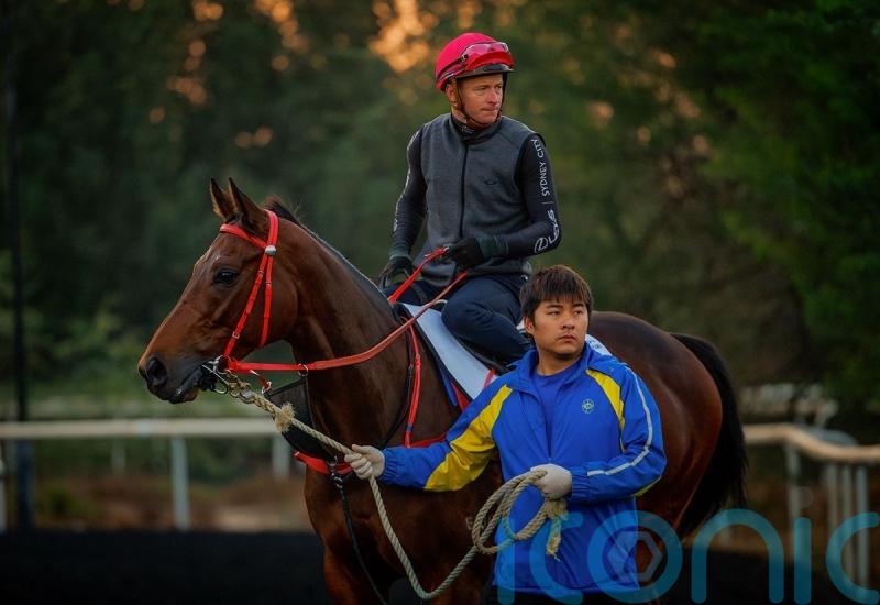 Hong Kong superstar Romantic Warrior gets Meydan sighter in Jebel Hatta
