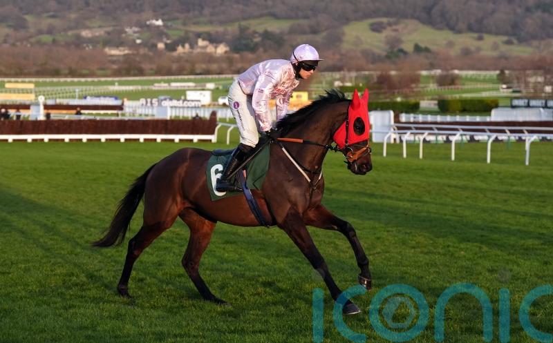 Sixmilebridge surprises Potters Charm at Cheltenham
