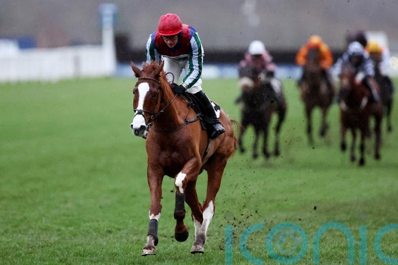 Windbeneathmywings &lsquo;ticking over&rsquo; with Cheltenham on the horizon