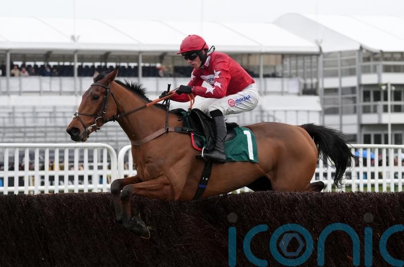 Nicholls hoping Scilly Isles will point the way for Kalif Du Berlais