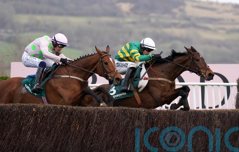 Impervious not out of Cheltenham reckoning just yet