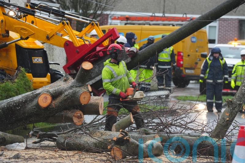 Crews working on final 700 premises without power after Storm Eowyn