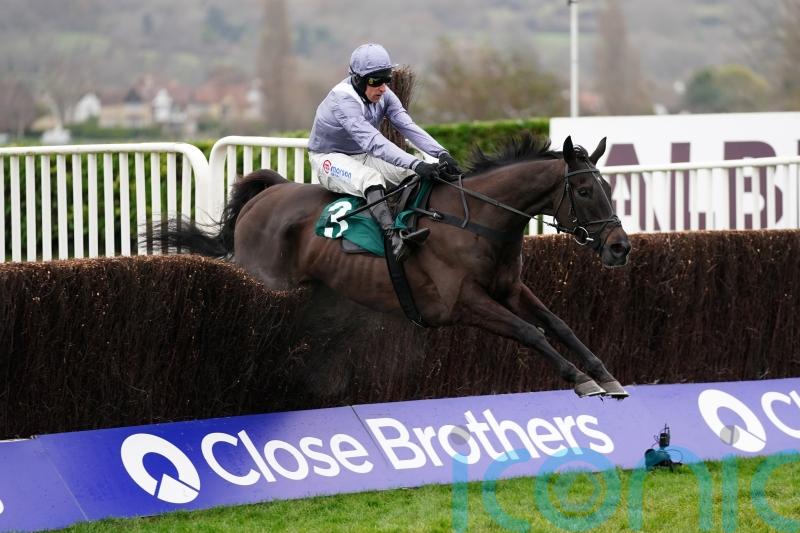 Talented My Drogo set for Haydock appearance