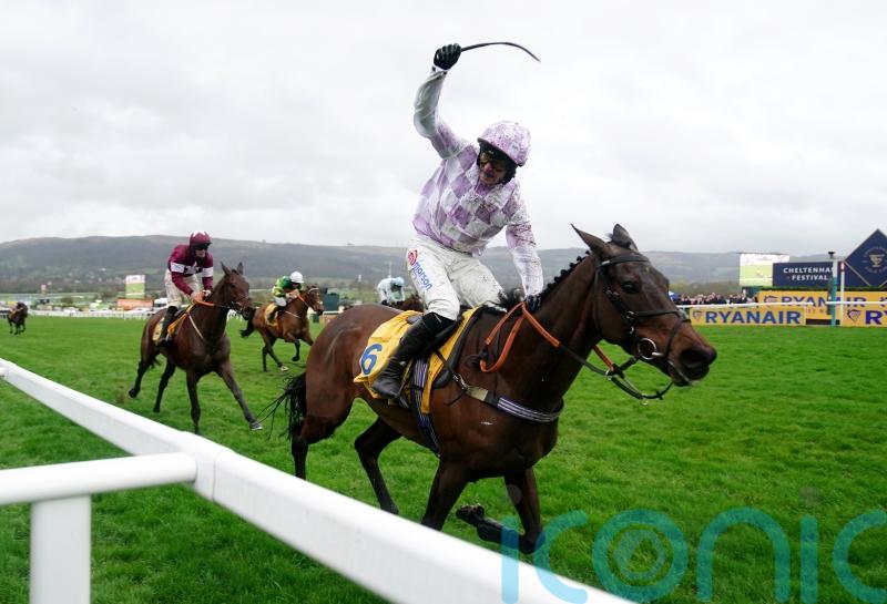 Golden Ace back in business with Kingwell Hurdle success