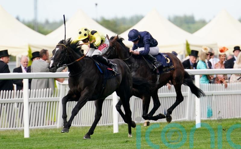 Burke backing Royal Champion to reign in Winter Derby