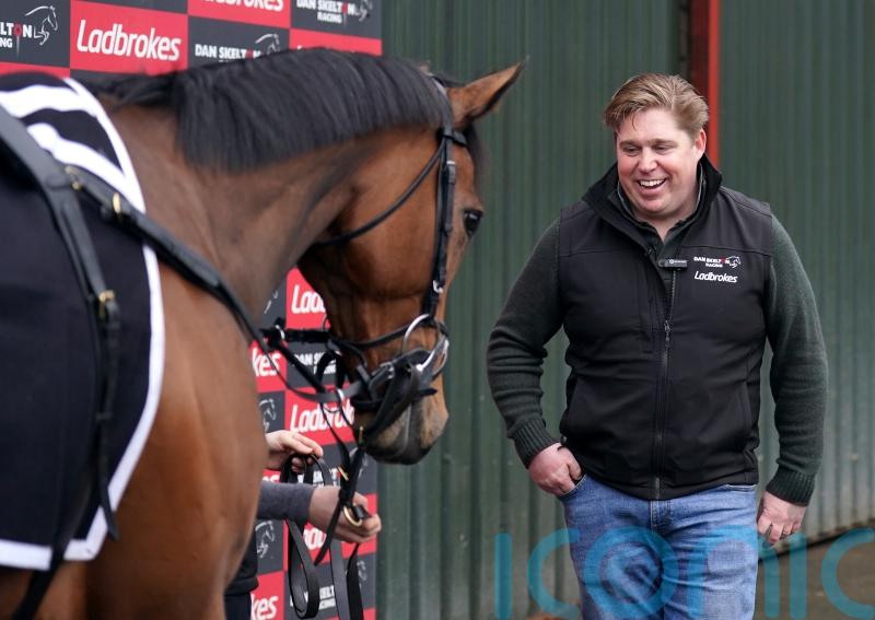 &lsquo;I love everything about him&rsquo; &ndash; The New Lion ready to roar at Cheltenham