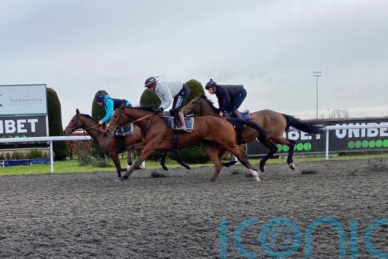 Lulamba and Palladium both &lsquo;super&rsquo; in Kempton workouts