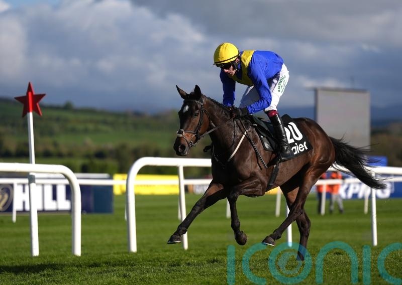 Cromwell picks out Sixandahalf and Stumptown as Festival fancies