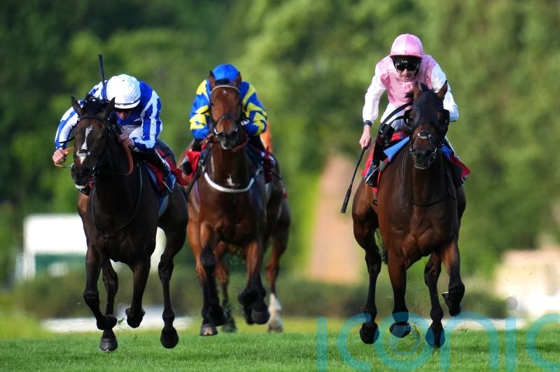 Popular stayer Caius Chorister set for date with City Of Troy