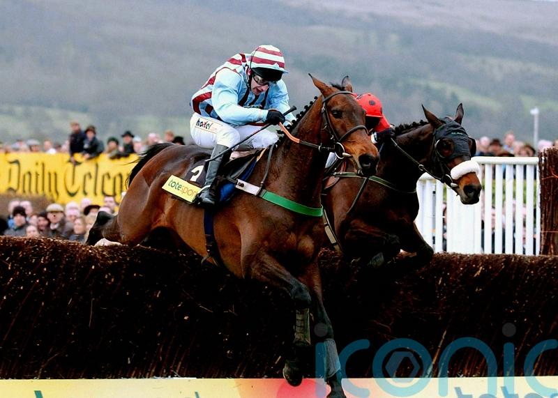 Three Gold Cups &ndash; but it might just have been a different Best Mate story