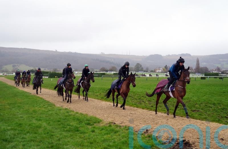 Cheltenham watering with warm weekend on the horizon