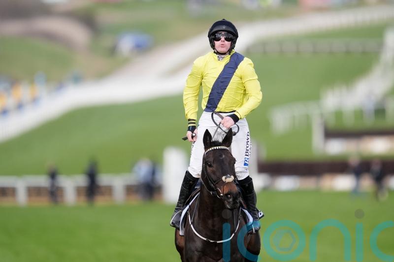 Emotional Cheltenham scenes, as Marine Nationale takes Champion Chase crown