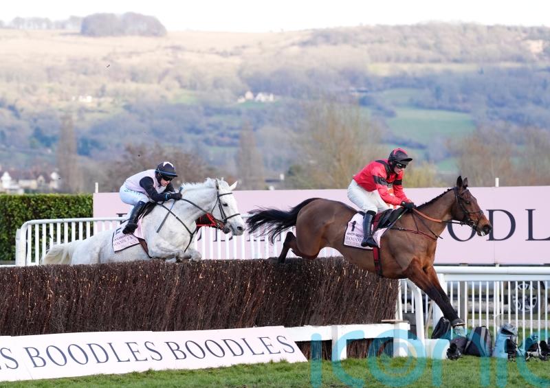 Gentlemansgame thrills Mouse Morris with Gold Cup third