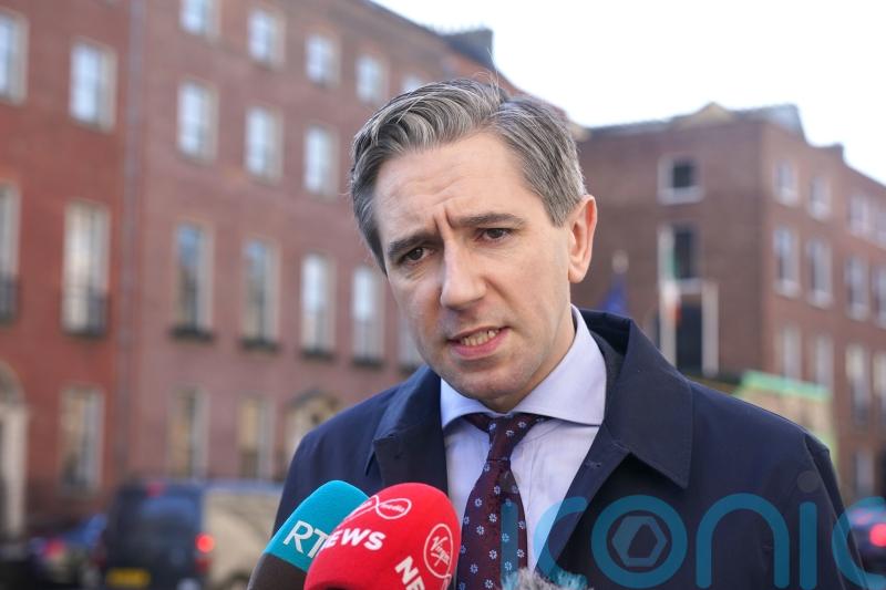 Ireland highly likely to face significant period of economic turbulence &ndash; Harris