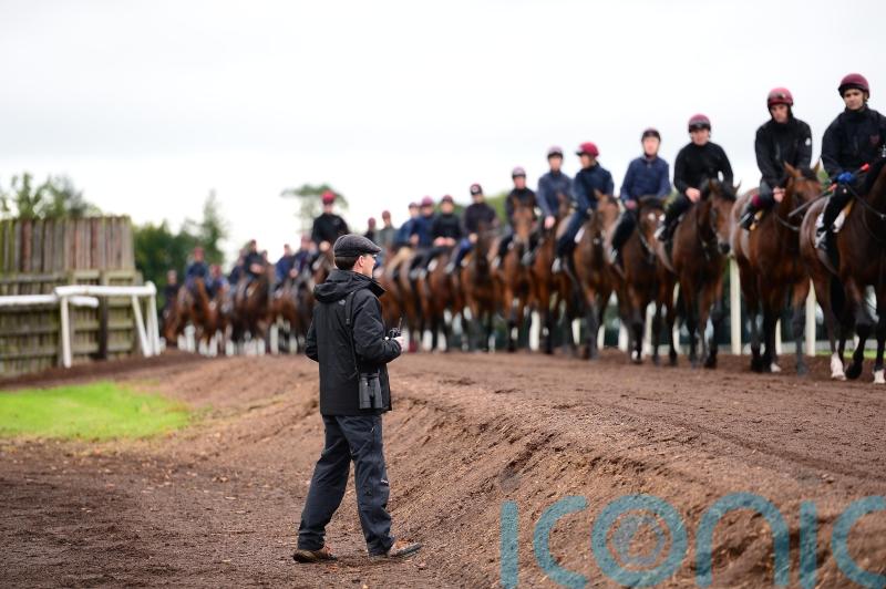 &lsquo;Very quick&rsquo; Australian import Storm Boy impressing at Ballydoyle