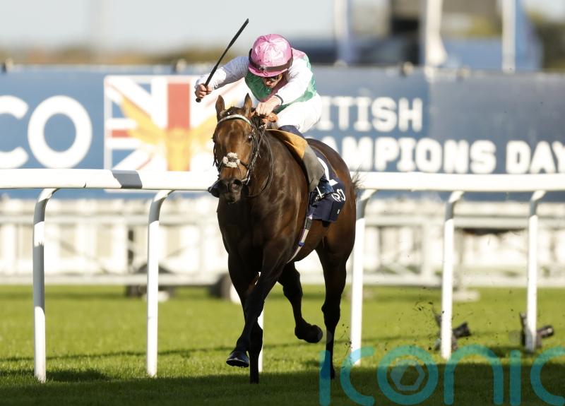 Classy Kalpana earmarked to &lsquo;go the Bluestocking route&rsquo;