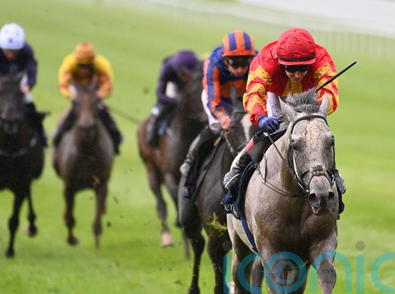 White Birch on course to defend Tattersalls Gold Cup at the Curragh