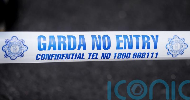 Number of serious crimes in Ireland fell last year but sexual offences on the rise