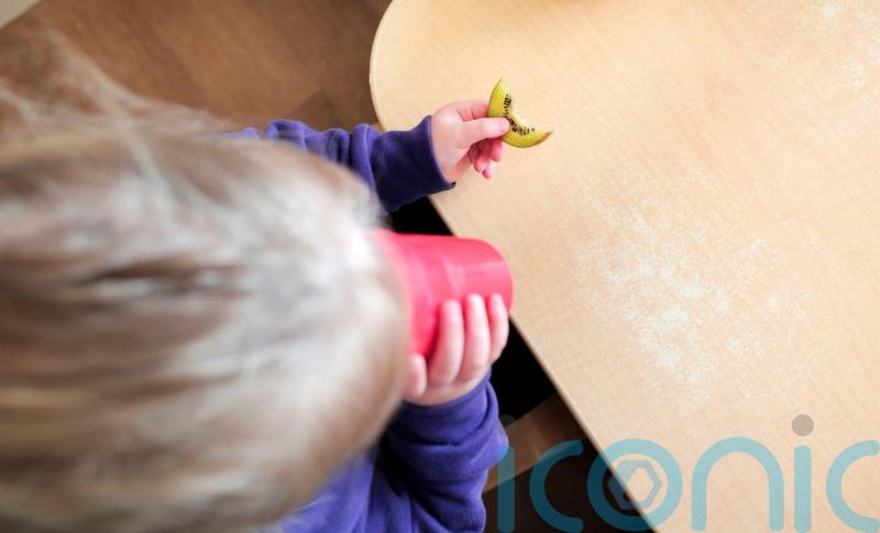 Protect nutrition for children during emergencies &ndash; cross-border report