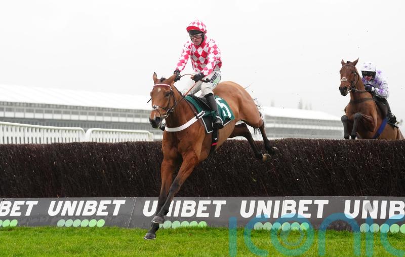 Jango Baie ready for Manifesto test following last-gasp Arkle success