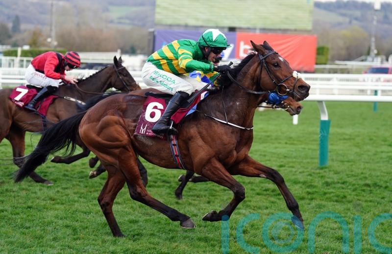 Puturhandstogether and Naturally Nimble flying flag for O&rsquo;Brien